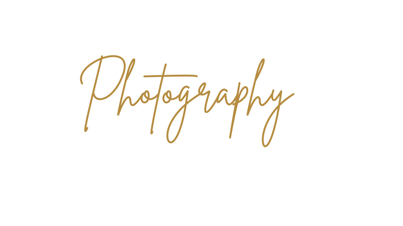 Alondra Meneses Photography